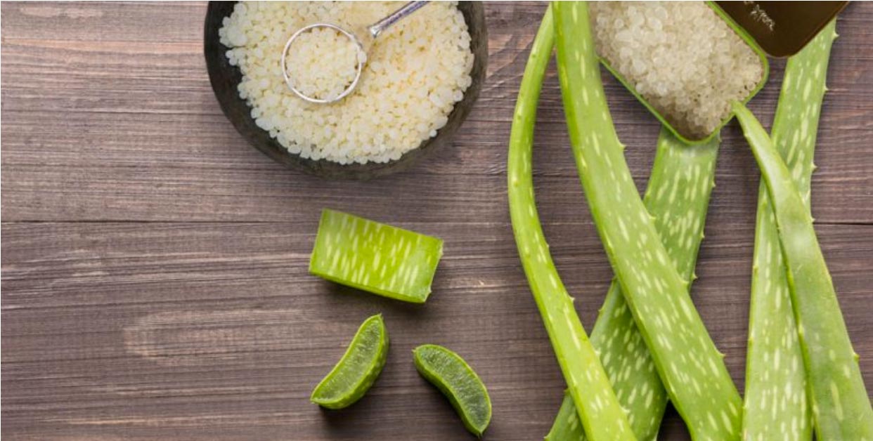 You are currently viewing Καταπολεμήστε το φούσκωμα και το πρήξιμο με φυσικό χυμό αλόης με μαστίχα Χίου