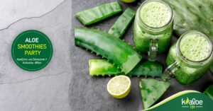 Read more about the article Αλόη βέρα σε smoothies: Γνωρίστε τους πιο υγιεινούς συνδυασμούς