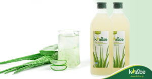 Read more about the article Ο χυμός αλόης συμβάλλει στη ρύθμιση της χοληστερίνης