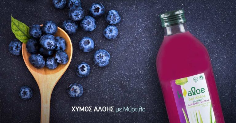 Read more about the article Αλόη βέρα και μύρτιλο: Ένας θαυματουργός συνδυασμός