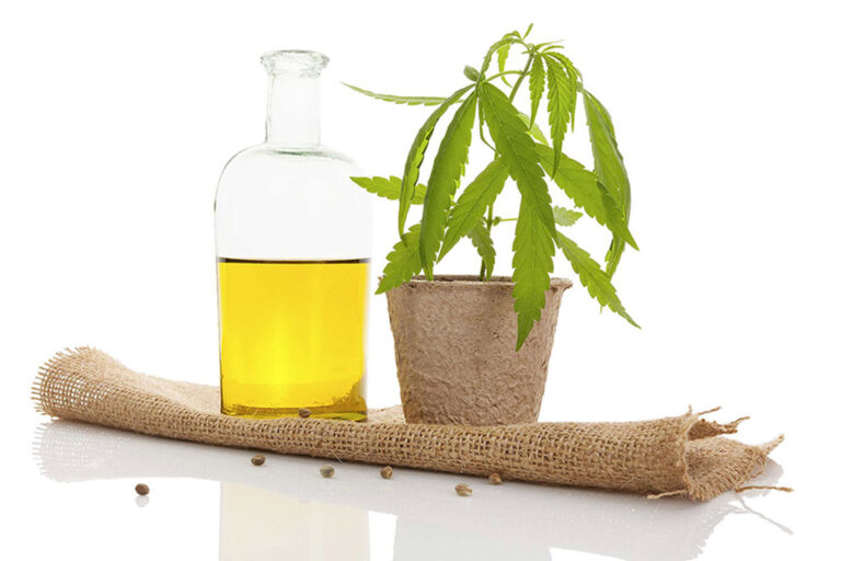 Read more about the article Day Cream Cannabis: Μυστικό ομορφιάς το έλαιο κάνναβης