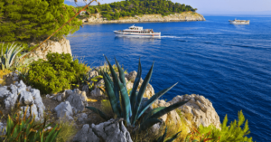 Read more about the article Κορυφαία η ποιότητα της κρητικής Αλόης