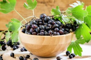 Read more about the article Πόσιμη Αλόη και Φραγκοστάφυλο: O φυσικός σύμμαχος της καλής υγείας