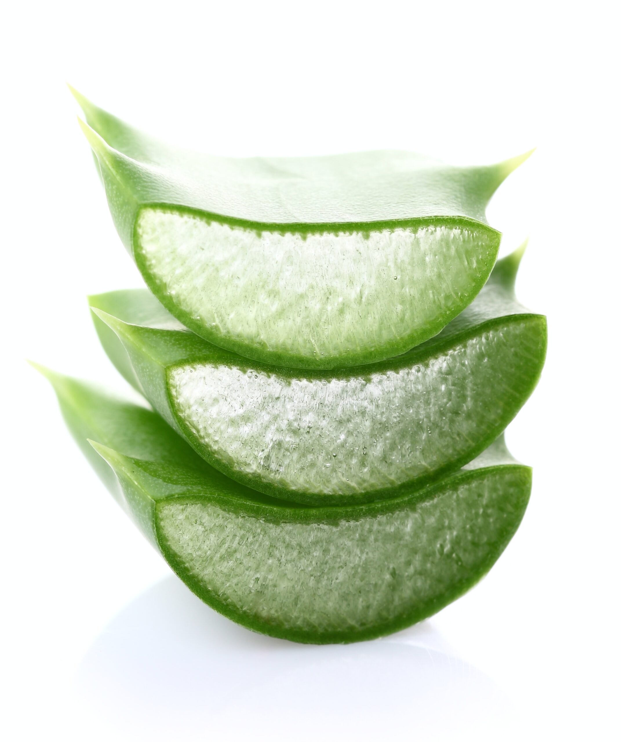 You are currently viewing 17+1 ευεργετικές ιδιότητες της Αλόης Βέρα!